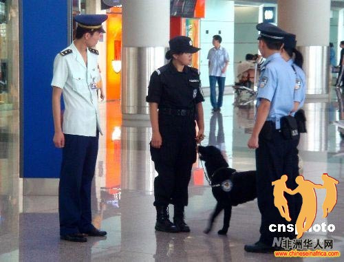 中国女特警牵着搜索犬到北京首都机场新大厅集结上岗.jpg